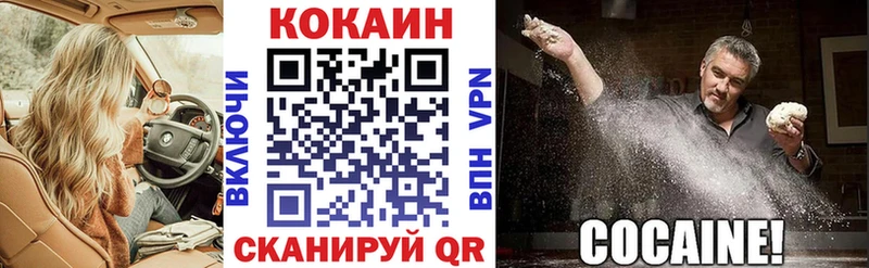 Где купить Петровск COCAIN 