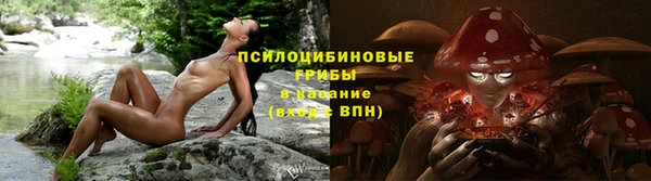 прущие грибы Алексеевка