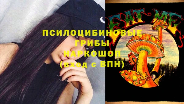прущие грибы Алексеевка