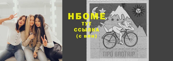 прущие грибы Алексеевка