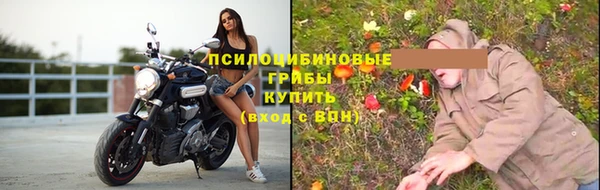 прущие грибы Алексеевка